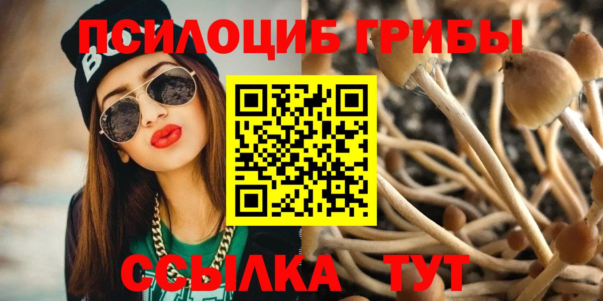 Псилоцибиновые грибы мицелий Бугуруслан